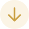 opt-c-02